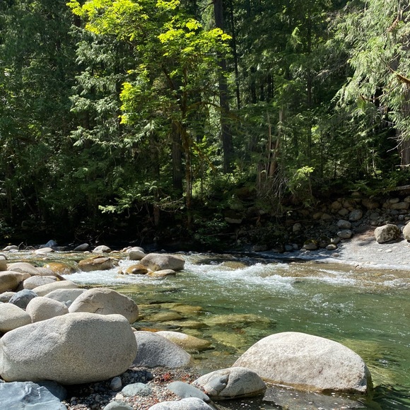 Meet your Posher, Heidi - Picture 1 of 1